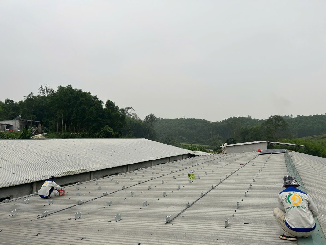 tấm pin mặt trời 610w