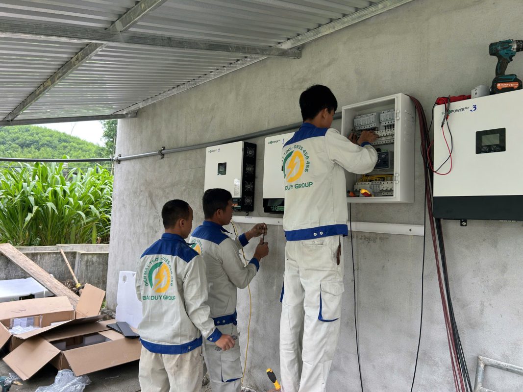 tấm pin mặt trời 610w