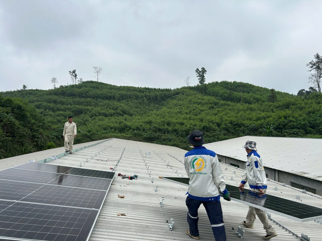 tấm pin mặt trời 610w